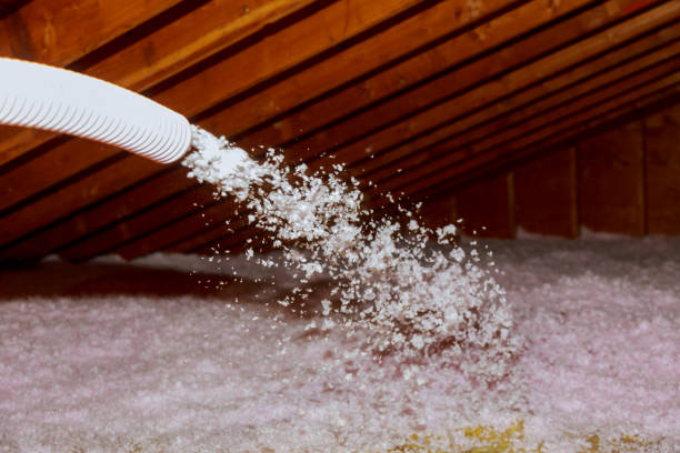 Best Spray Foam Insulation in Ladoga, IN