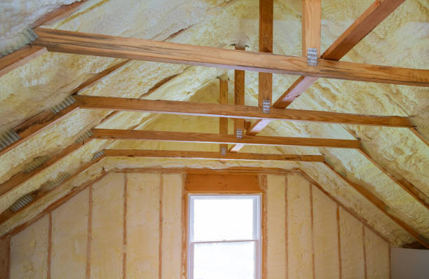 Best Eco-Friendly Insulation in Ladoga, IN