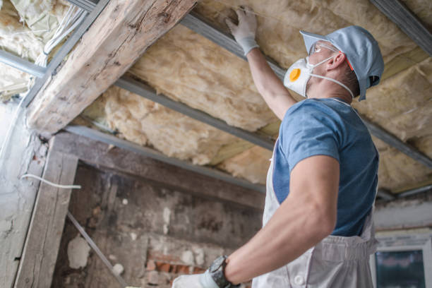 Best Eco-Friendly Insulation in Ladoga, IN