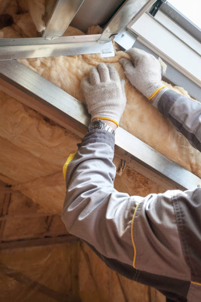 Best Commercial Insulation in Ladoga, IN