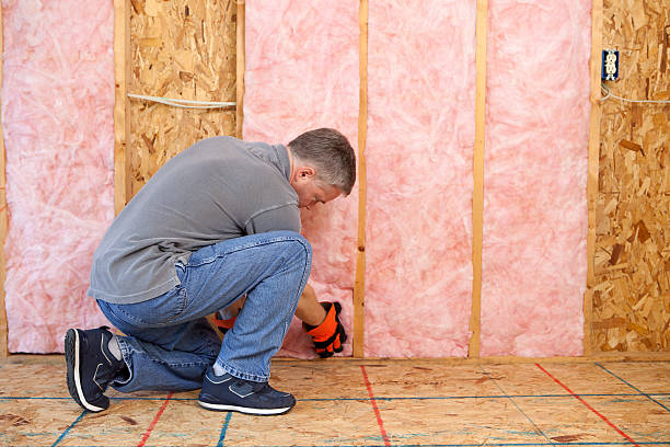 Best Specialized Insulation Services in Ladoga, IN