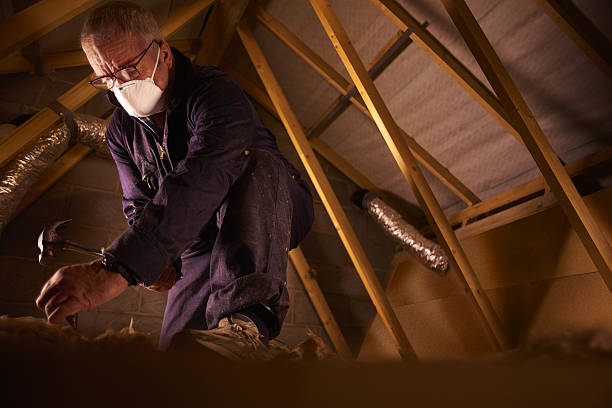 Best Energy Efficiency Insulation in Ladoga, IN